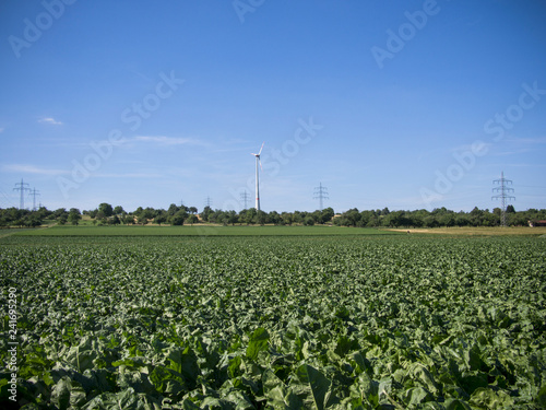 Vegetable fields on hills in autumn sun in front of a wind turbine in southern Germany