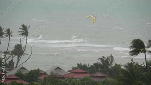 Pabuk typhoon, ocean sea shore in Thailand. Natural disaster, eyewall hurricane. Strong extreme cyclone wind sways palm trees. Tropical flooding rain season, heavy tropical storm weather, thunderstorm photo