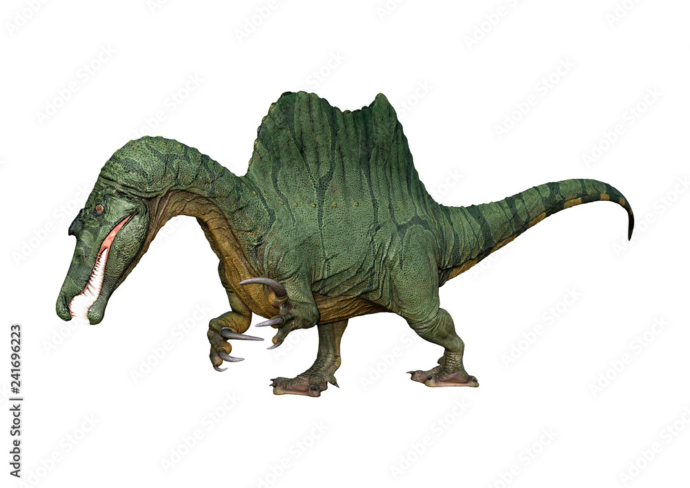 Fototapeta premium 3D Rendering Dinosaur Spinosaurus on White