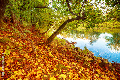 Fototapeta Naklejka Na Ścianę i Meble -  Beautiful autumn landscape