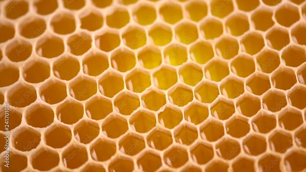 Honeycomb. Honey combs full of fresh organic sweet honey. Dieting. Healthy food concept. Rotation 4K UHD video 3840X2160 Honeycomb. Honey combs full of fresh organic sweet honey. Dieting. Healthy food concept. Rotation 4K UHD video 3840X2160