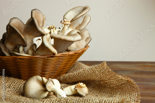 oyster mushrooms in basket