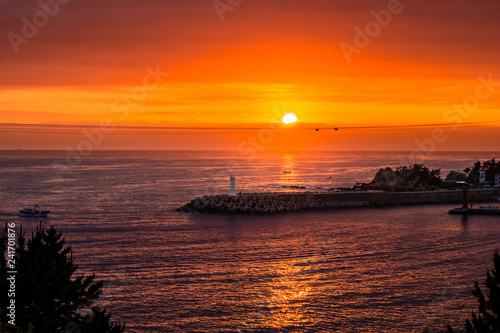 Morning sunrise is beautiful Janghohang Port in Samcheok photo