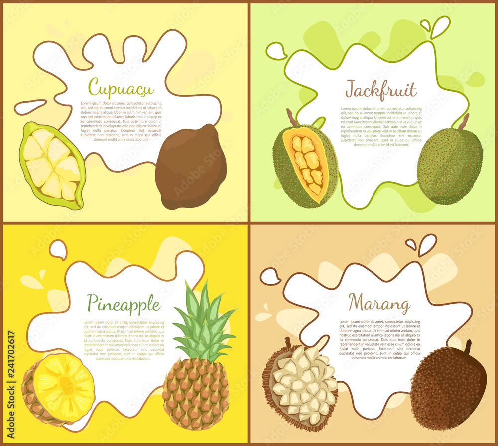 Cupuacu and Jackfruit Posters Vector Illustration