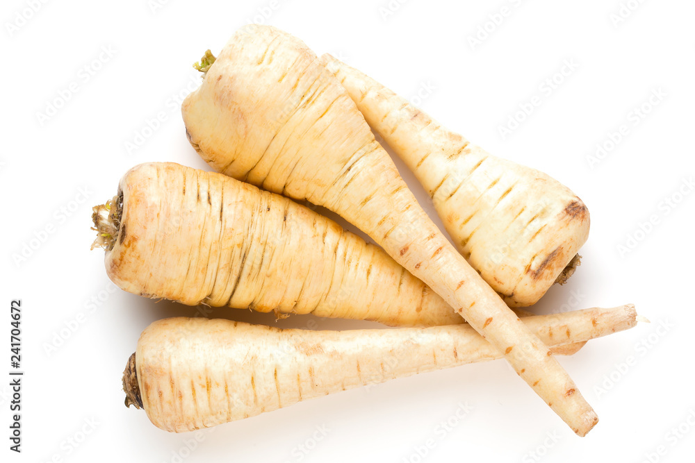 Parsnip isolated on the white background. Parsnip isolated on the white background.