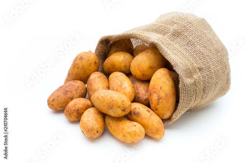 A bio russet potato isolated white background. photo