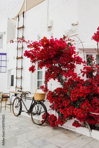 Street design, Vintage bicycle and a red flowering busch in Oia, Santorini, Greece