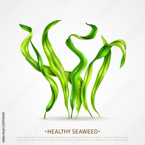 Spirulina Seaweed Realistic Poster