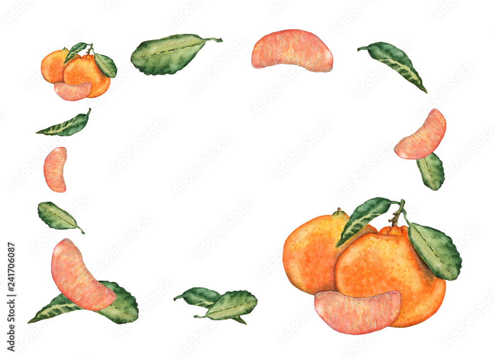 Watercolor hand drawn mandarin fruits, slices and leaves. Colorful