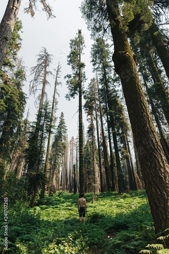 Wild man in Sequoia Forest photo