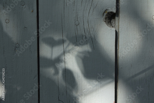 Light and shadow