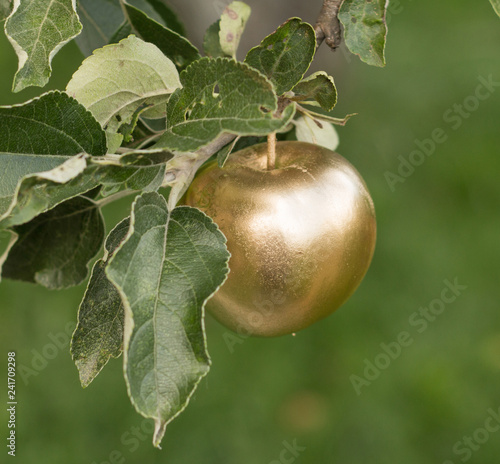 Golden Apple from a fairy tale