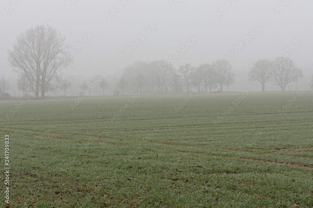 trübes Wetter am Niederrhein trübes Wetter am Niederrhein