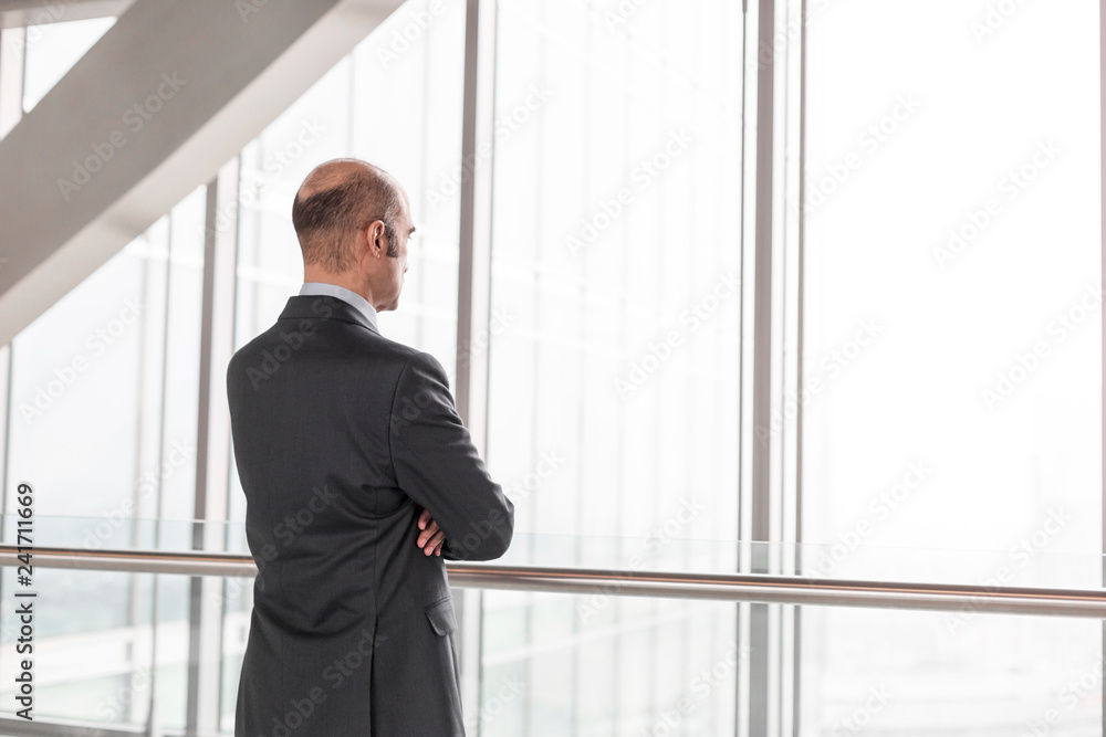 Rear view of mature businessman looking through window at modern office Rear view of mature businessman looking through window at modern office