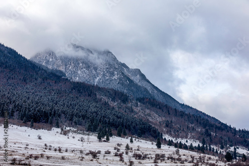 Landscape shot of mountains and forests in winter time