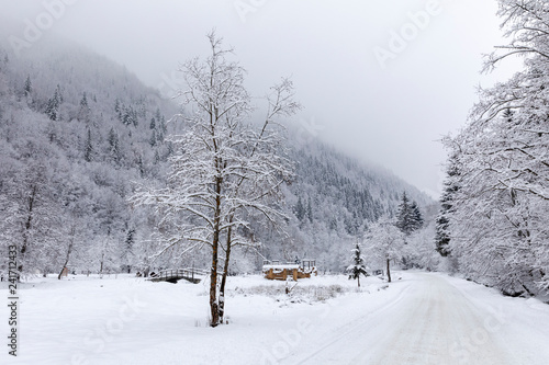 Snowy road during winter through forests and mountains