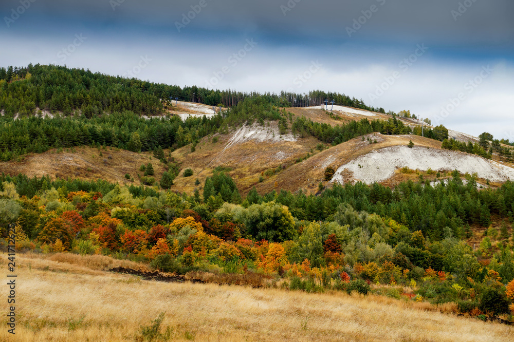 Naklejka premium open space, hills, forest, sky, nature, landscape