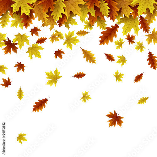 Autumn background with maple and oak leaves