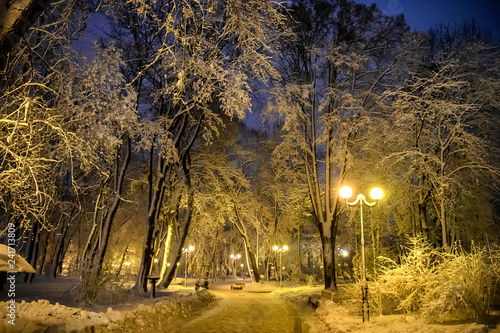 Snowy winter evening in the park with the light of the lanterns. Kyiv  Ukraine.