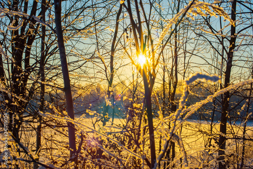 Canvas Print Nature of moscow region
