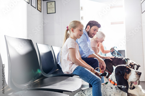 Photography Pet owners waiting with dogs at veterinary clinic
