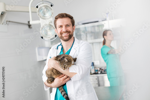 Foto Portrait of smiling doctor carrying cat while standing against coworker at veter