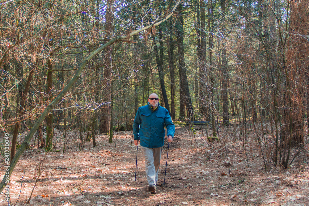 Senior vital man in winter clothing nordic walking along in forest - Image Senior vital man in winter clothing nordic walking along in forest - Image