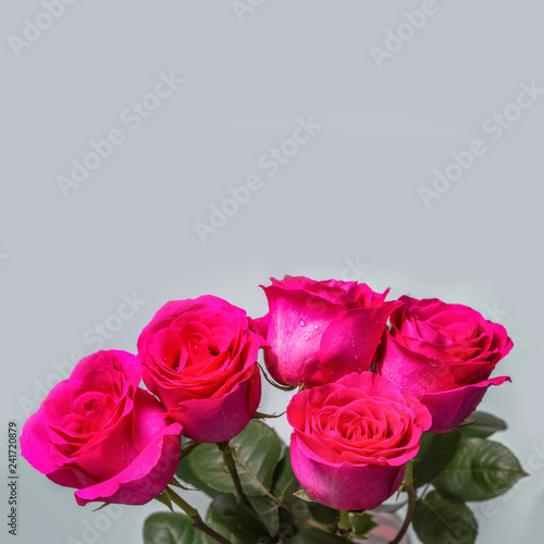 Five pink rose flowers bouquet