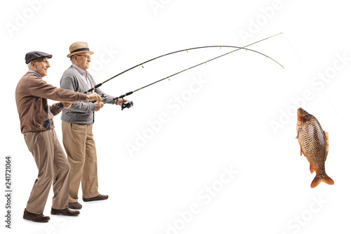 Two senior fishermen with a big carp on a fishing rod