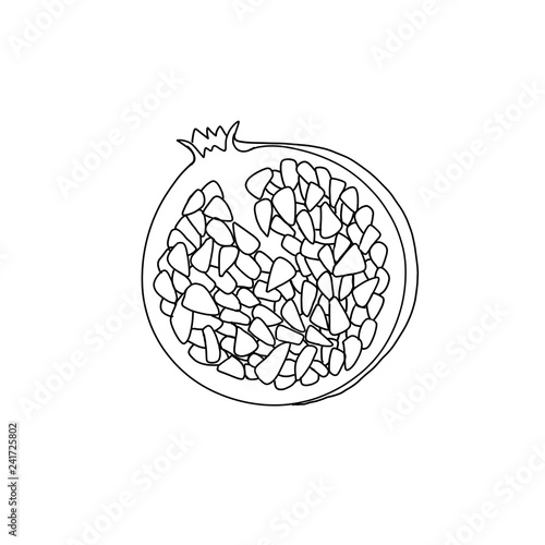 pomegranate graphics illustration