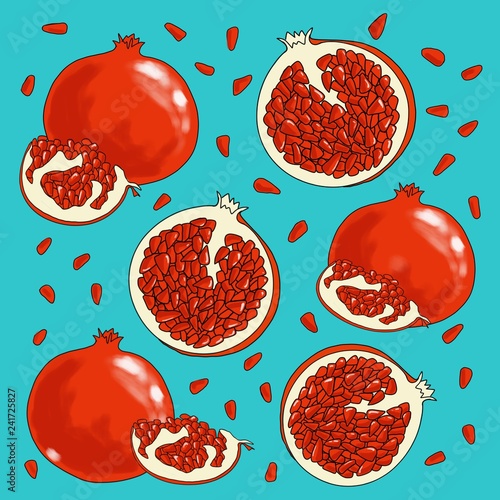 Pomegranate illustration background fruit