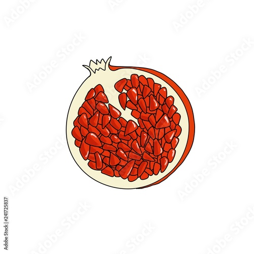 pomegranate graphics illustration