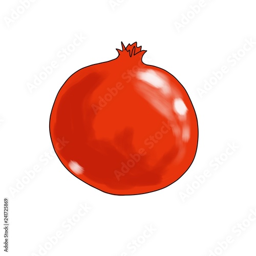 pomegranate graphics illustration