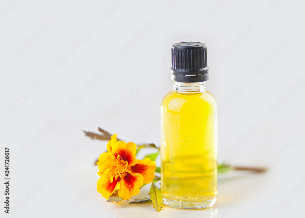 marigold essential oil in beautiful bottle on White background marigold essential oil in beautiful bottle on White background