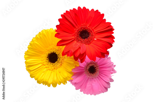 Bouquet of beautiful delicate flowers gerberas isolated on white background. Fashionable creative floral composition. Summer  spring. Flat lay  top view