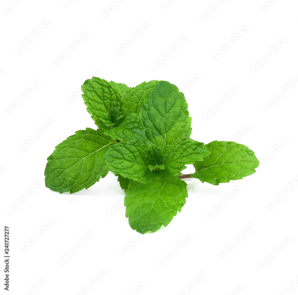 Mint leaves isolated on white background Mint leaves isolated on white background