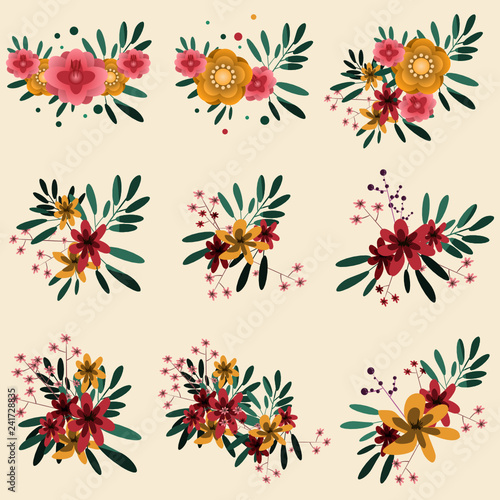 flower set vector illustration 