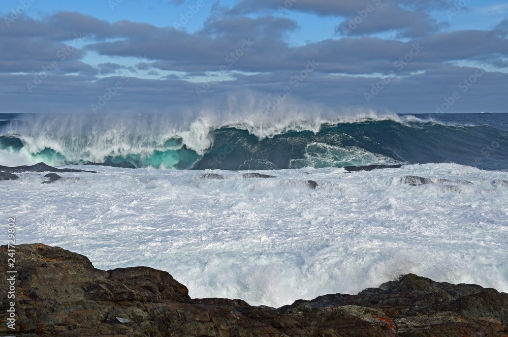 Fototapeta premium large wave seascape
