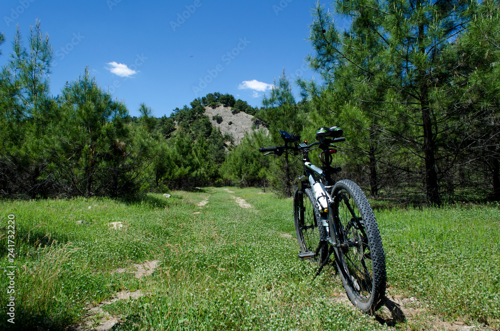 ormanda dağ bisikleti