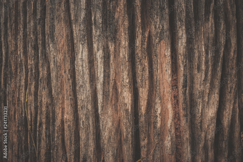 Fototapeta premium Wood texture background