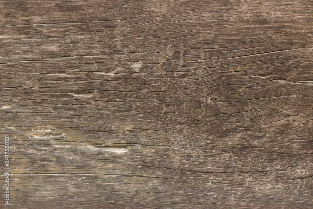 Obraz premium Wood texture background