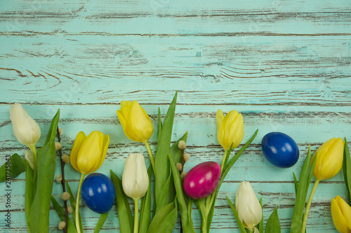 Gelbe, weiße Tulpen vor blauem Hintergrund am unteren Rand