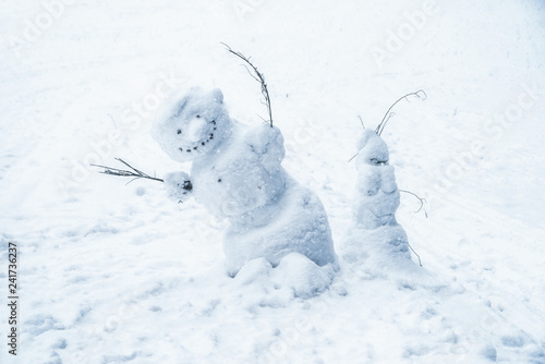 Snowmans at snowy country