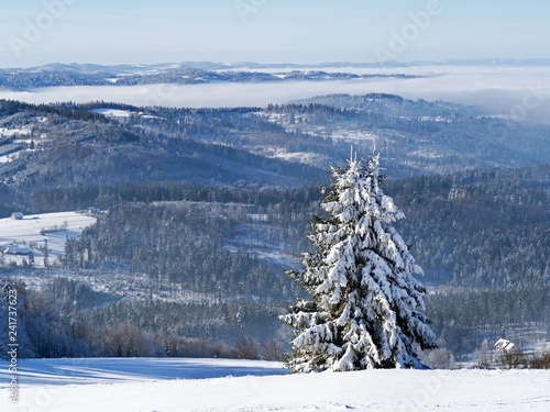 Fototapeta Naklejka Na Ścianę i Meble -  Frosty Day in Silesian Beskid in Poland