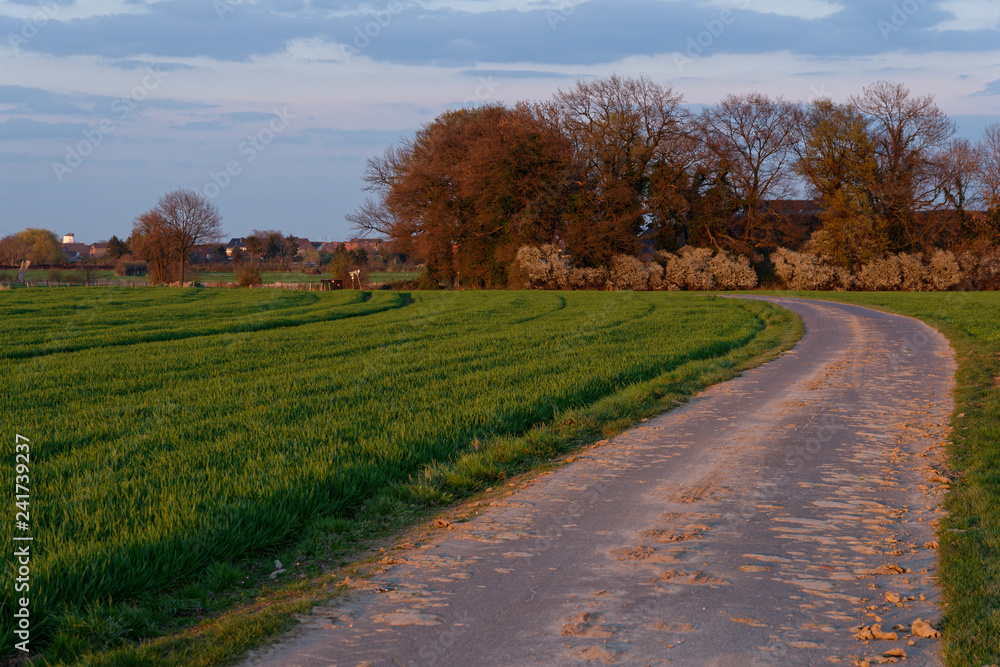 am Niederrhein