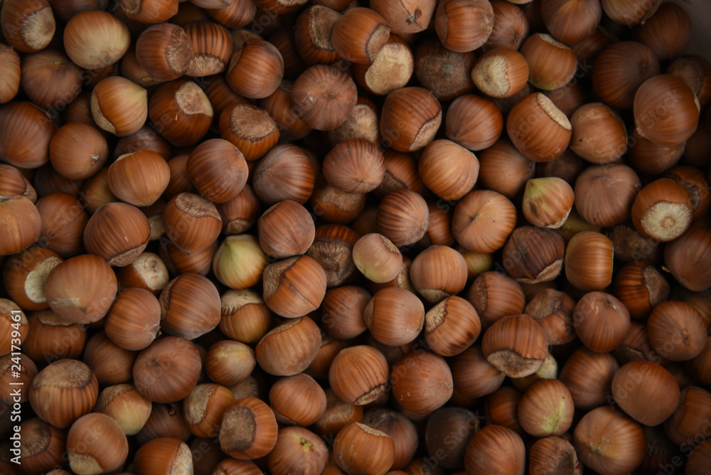Textured background of hazelnut in its natural form Textured background of hazelnut in its natural form