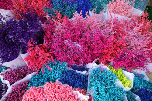 Canvas Print Colorful flowers, Flower market, Bangkok, Thailand