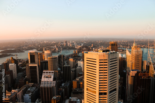 View onto the harbour and skyline of Sydney from the highest lookout in the city during sunset  Sydney  New South Wales  Australia 