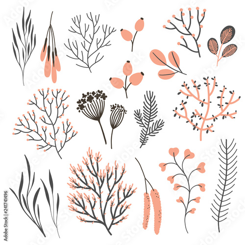 Vector set witn fall plants on white. Floral elements: Branches, leaves, fruits, seeds and berries.. Natural design. Autumn mood.