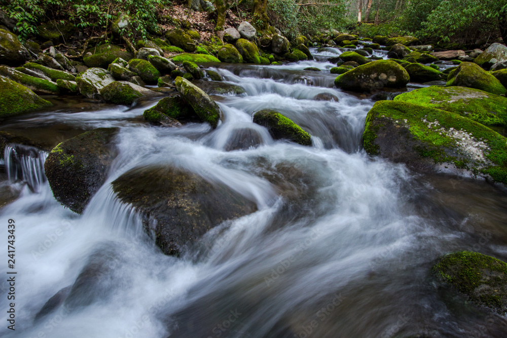 Rushing Smoky Mountains Stream. River rushes through the scenic lush green landscapes of the Great Smoky Mountains National Park in Gatlinburg, Tennessee.